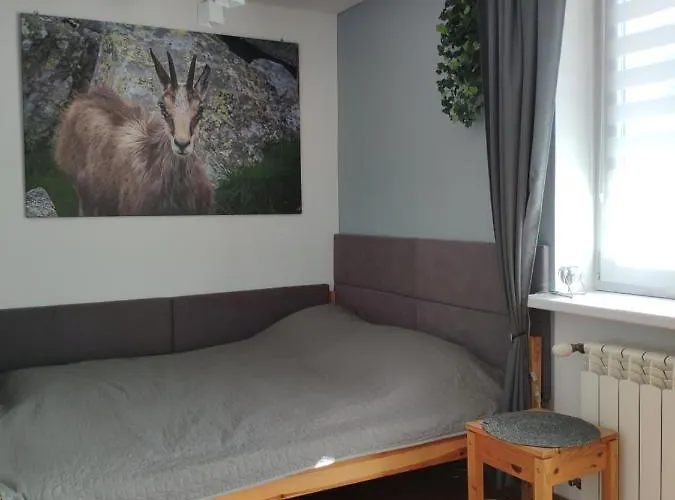 Rupicapra Appartamento Zakopane